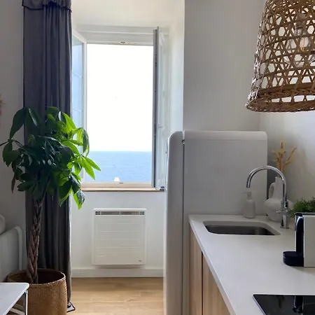 Vue - Casadibastia 公寓